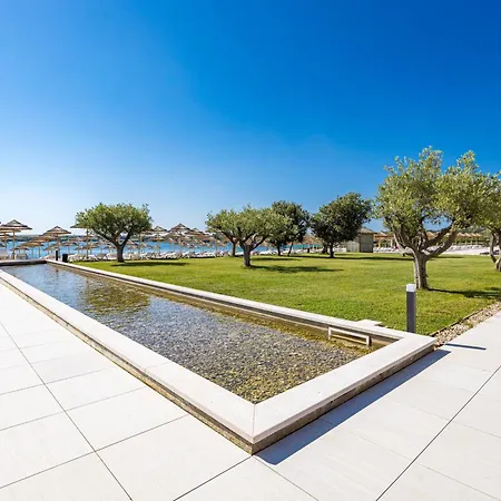 Del Mar Emotion Liznjan